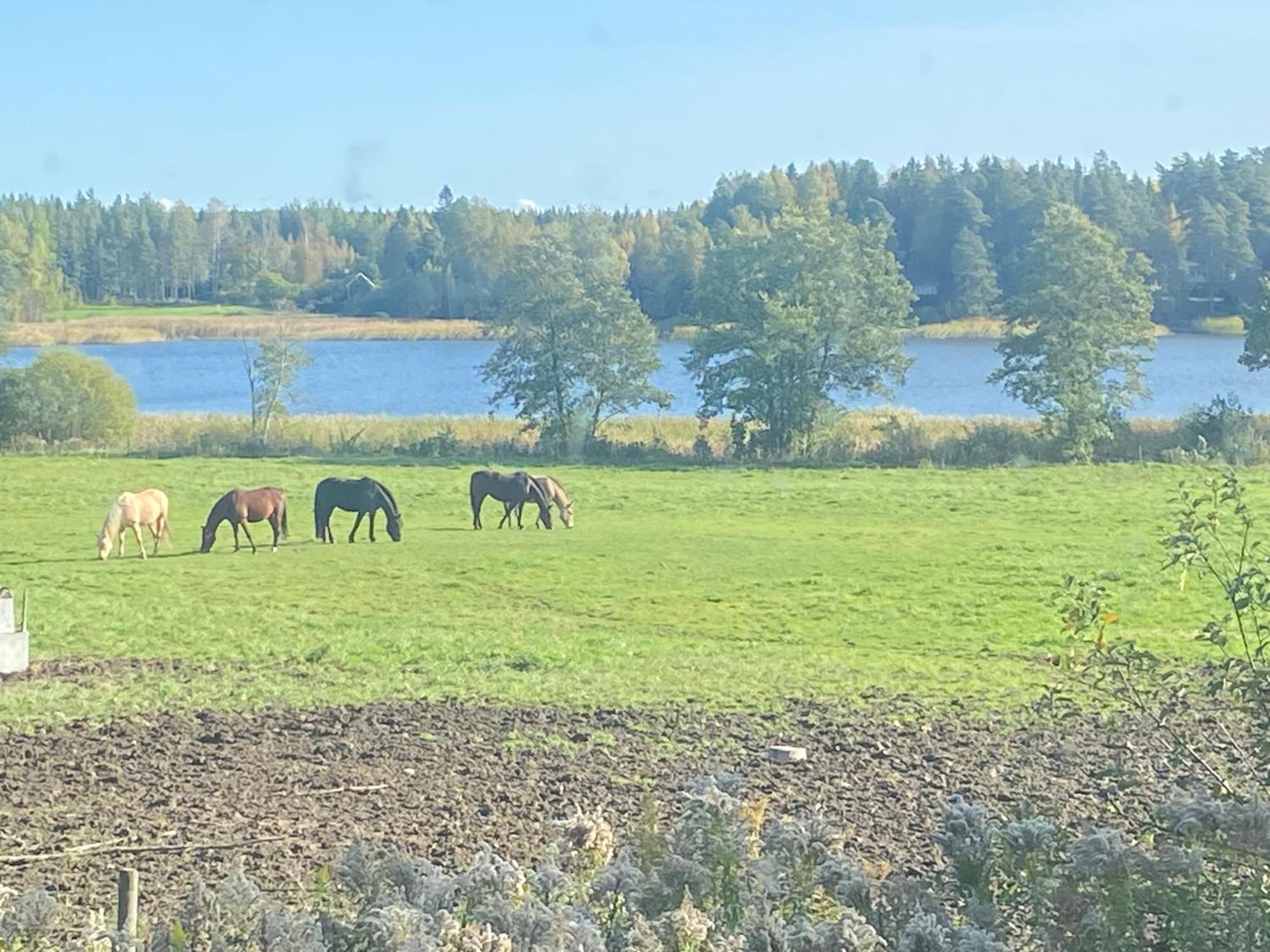 Гостевой дом Ulvsby Ranch Карлстад Экстерьер фото