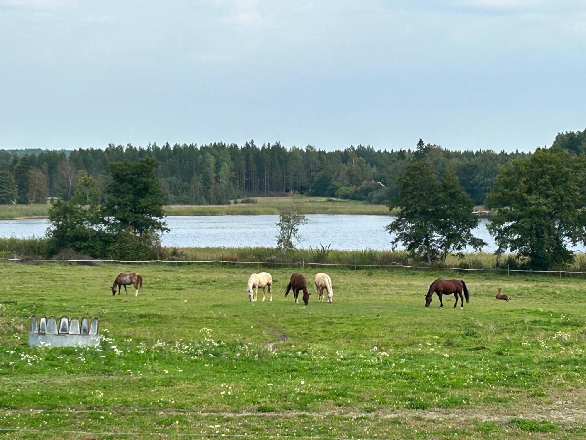 Ulvsby Ranch Western Camp Карлстад Экстерьер фото